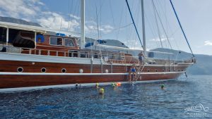 Turkish gulet swimming