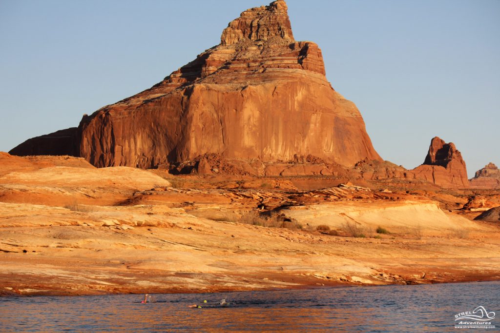 Strel-Swimming-Lake-Powell-Vacation-14