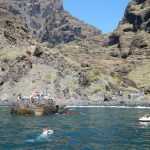 swimming in Tenerife