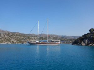 Swim and sail cruise