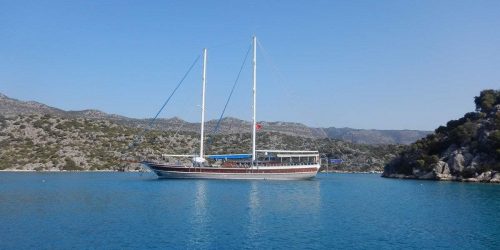 Swim and sail cruise