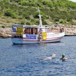 Swimming around Obanjan island