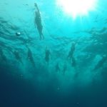 springs best fitness retreats