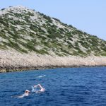 Swim holidays for singles