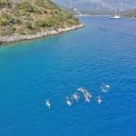 Swim-Sail-Cruise-Vacation