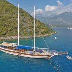 Swimming-Cruise-Liveaboard