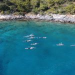 Swimming-Holidays-Vacations-Group