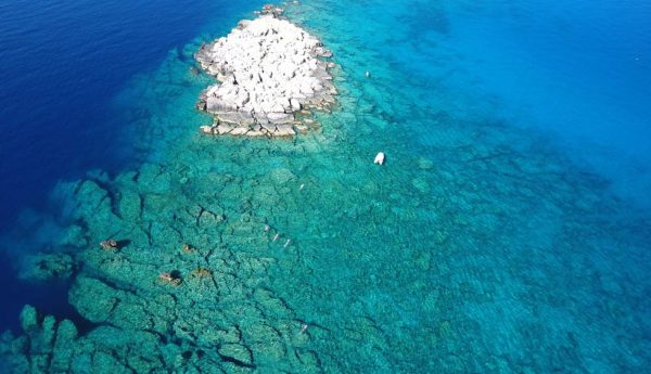 Group-Swimming-Mediterranean