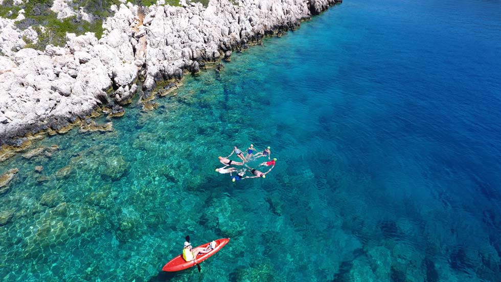 Swimming-Group-In-the-Sea