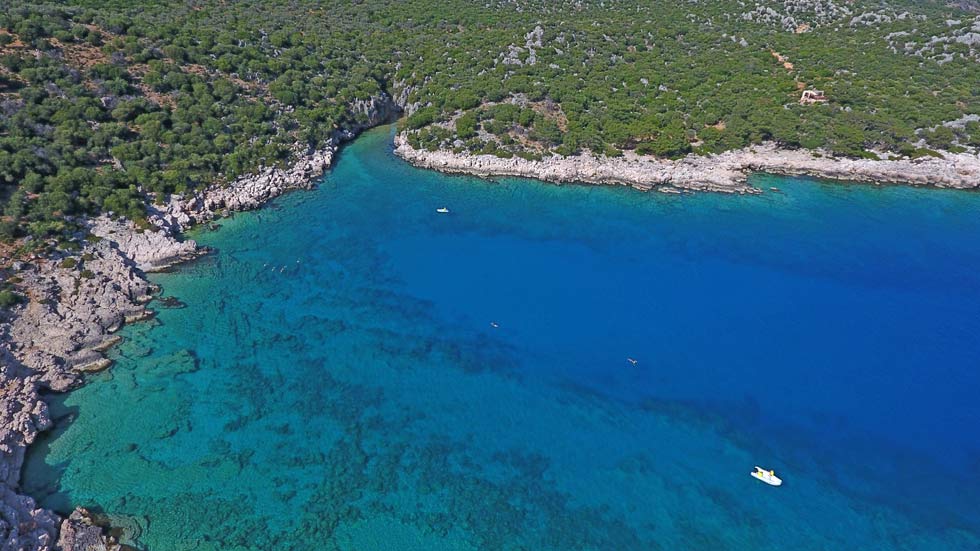 Swimming-In-Bay-Turkey