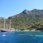 Swim-Vacation-Cruise