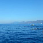 Swim-Vacation-Europe