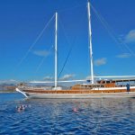 Swim-Sail-Vacation-Trip