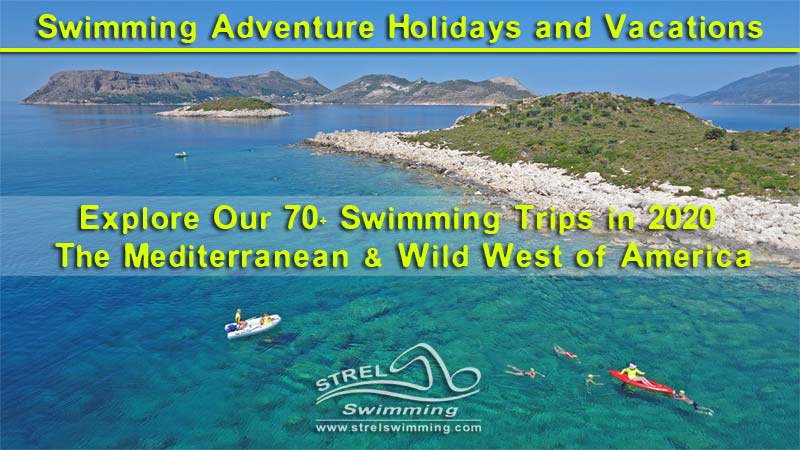 Swimming-Pace-Calculator