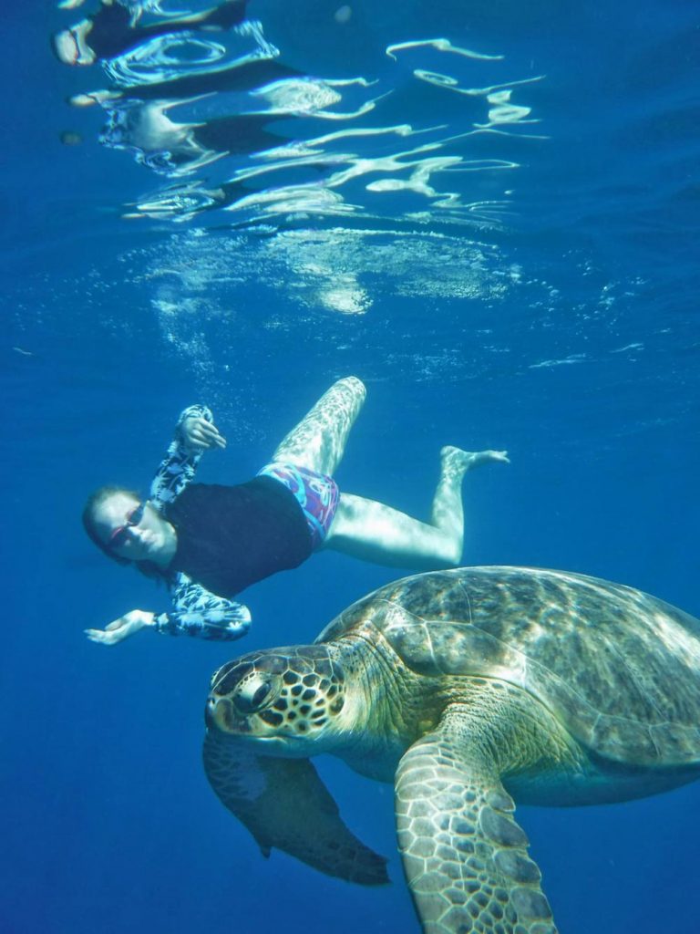 Swimming-With-Turtles-Holidays