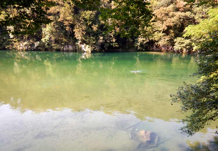 Idrijca-River-Swimming