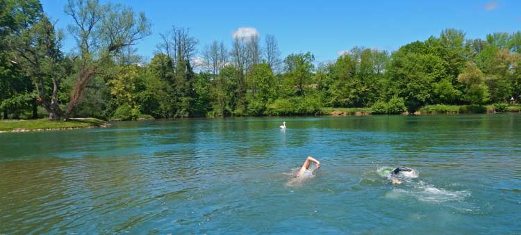 Krka-River-Swimming