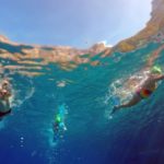 Swimming-Vacation-Tour