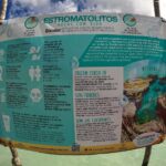 Bacalar-Lagoon-Stromatolites