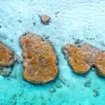 Bacalar-Mexico-Stromatolites