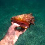 Caribbean-Swimming-Mexico-Mahahual