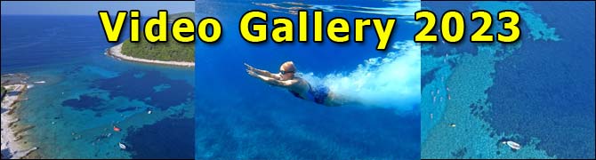 Swimming Korcula Croatia Videos 2023